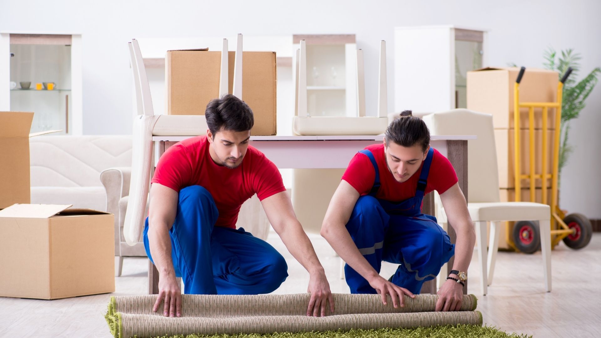 Bahçeşehir Evden Eve Nakliyat